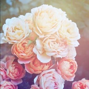 Meet your Posher, Demoni